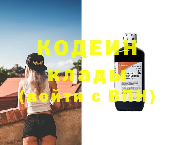 шишки Аркадак