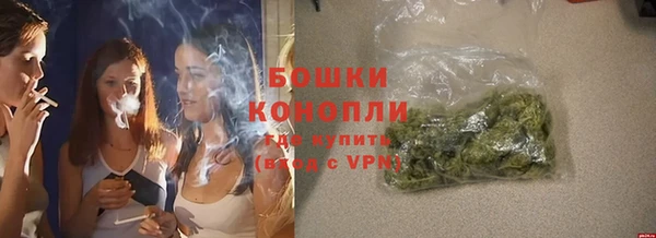 шишки Аркадак