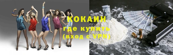 ПСИЛОЦИБИНОВЫЕ ГРИБЫ Арсеньев