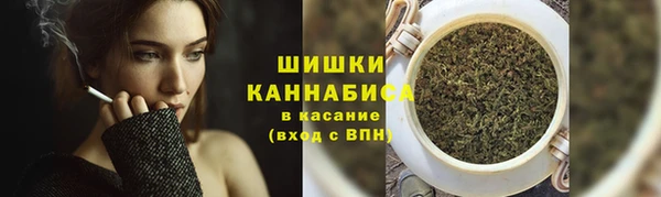 сатива Армянск