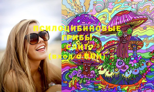 шишки Аркадак
