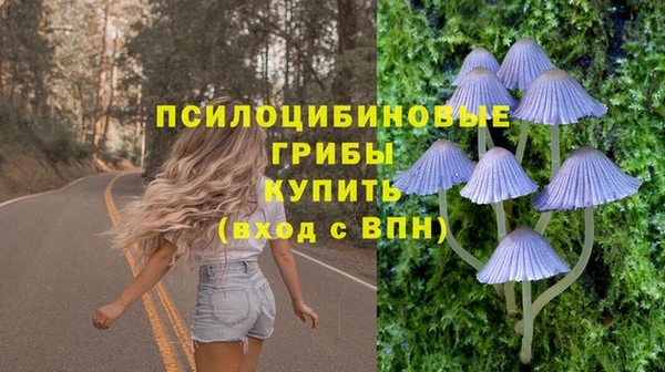 мяу мяу мука Алзамай
