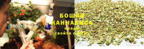 шишки Аркадак