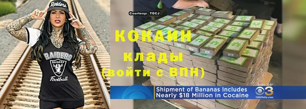 ПСИЛОЦИБИНОВЫЕ ГРИБЫ Арсеньев