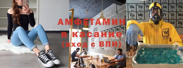 шишки Аркадак